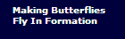 Making Butterflies 
Fly In Formation